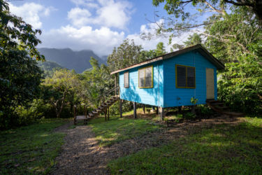 This villa features a bedroom that sleeps up to 3 people, living room with futon, kitchenette and bathroom, and a balcony overlooking the Maya Mountains