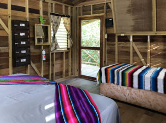 This studio room features a private entrance on a single balcony overlooking the Maya Mountains and jungle.