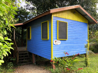 This studio room features a private entrance on a single balcony overlooking the Maya Mountains and jungle.