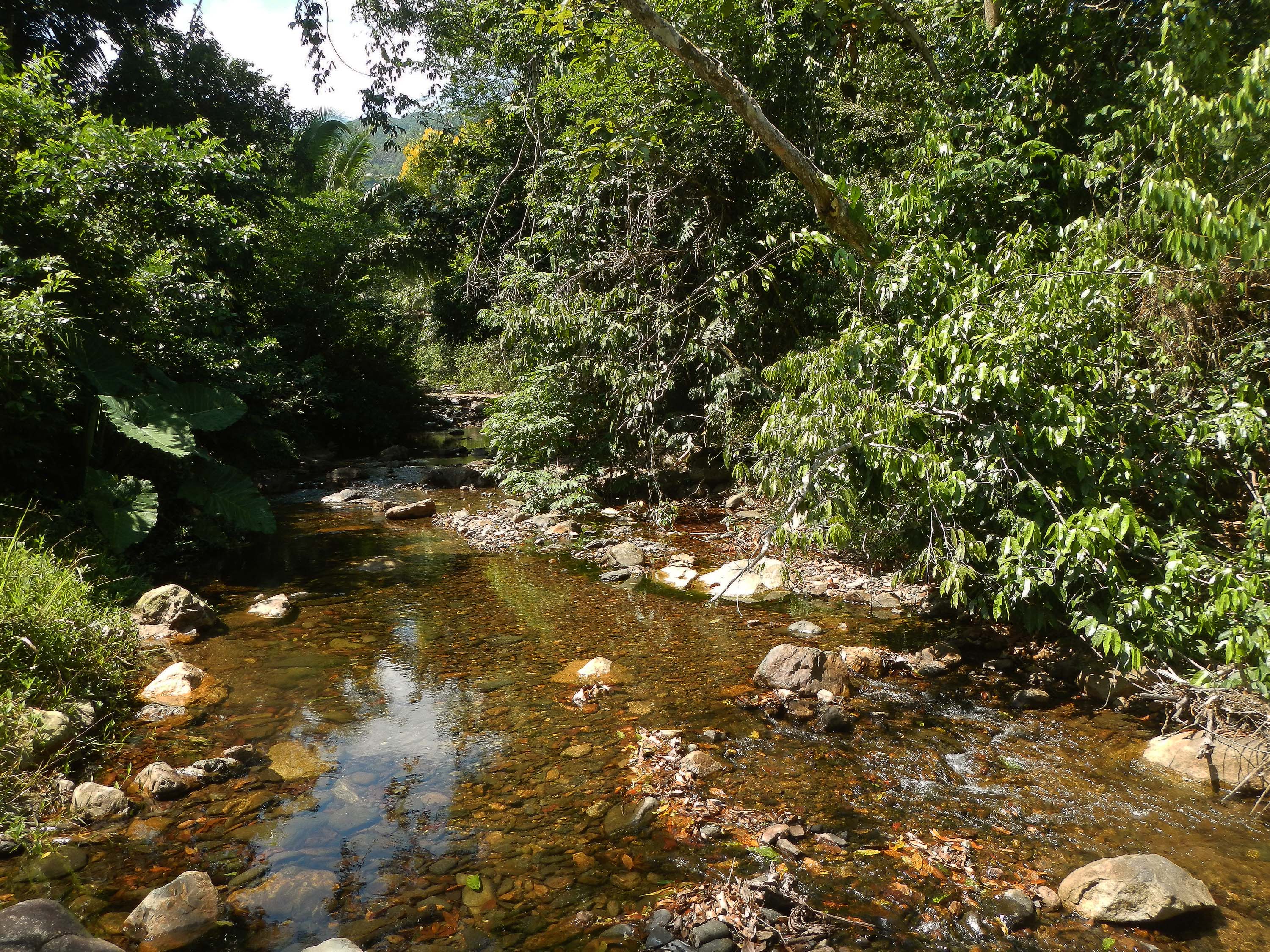 environmental habitat