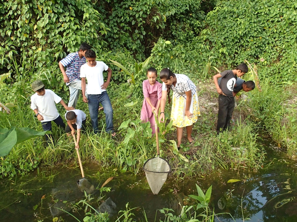 ecology internships