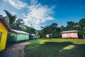 Trees-Cabins